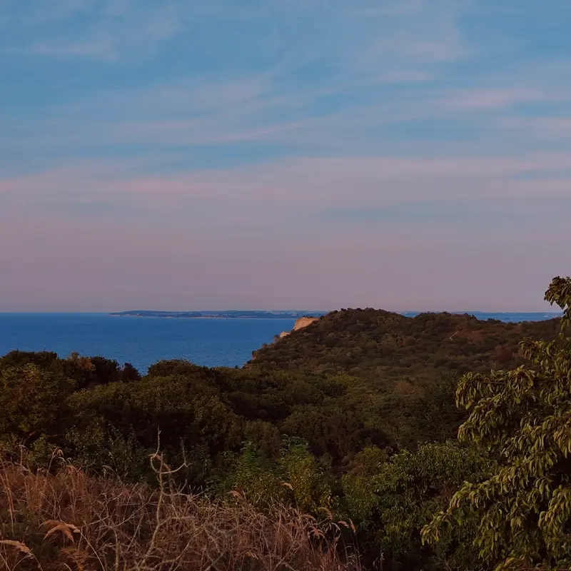 Island