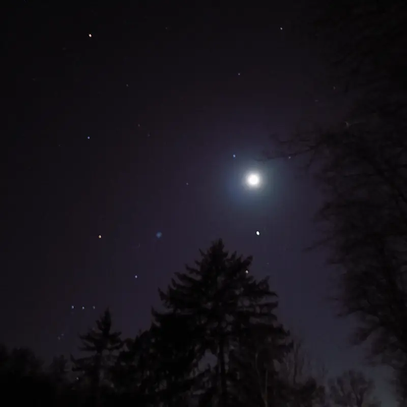 Nightview