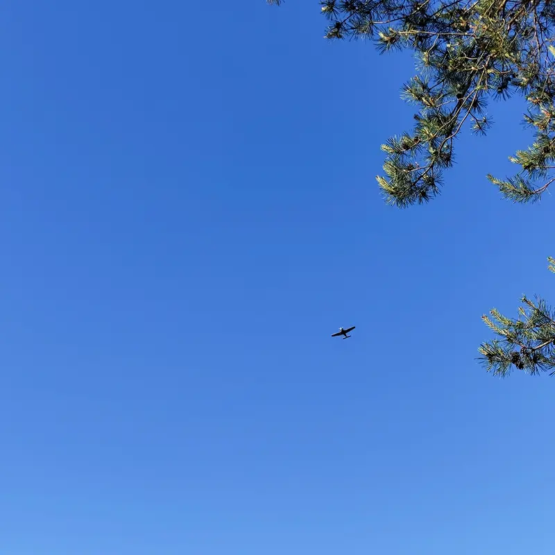 Plane