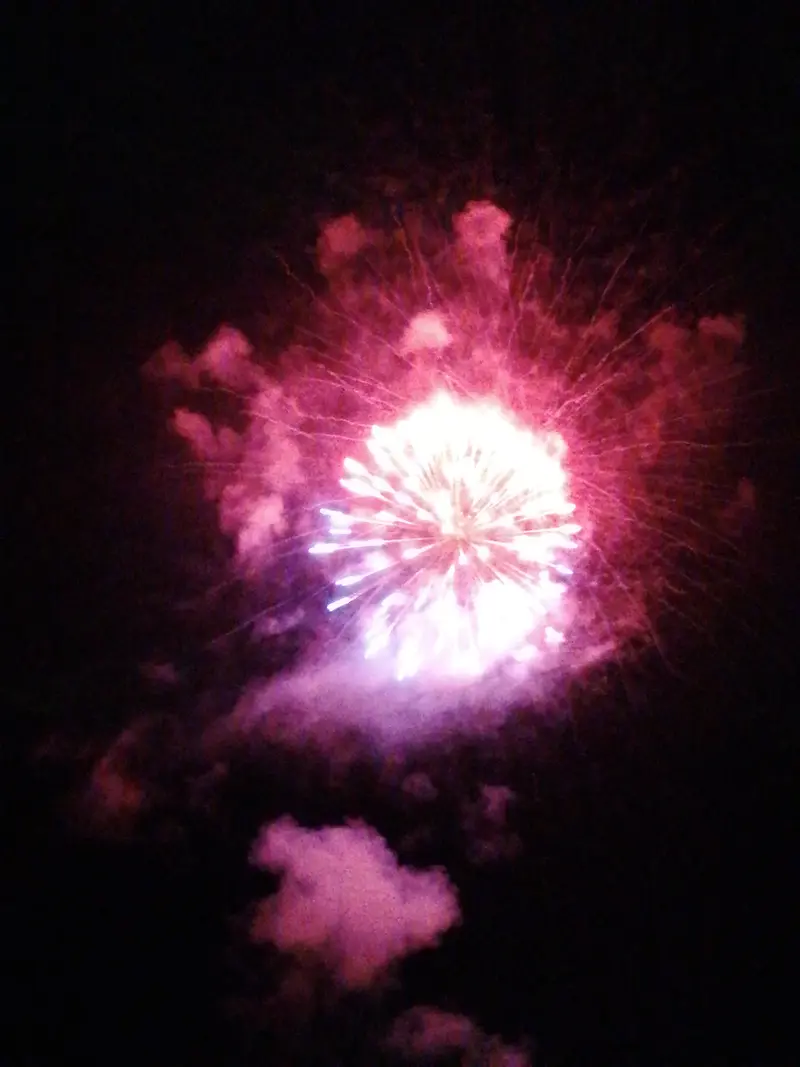 Silvester